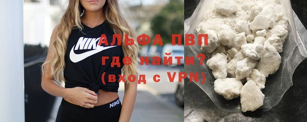 индика Тайга