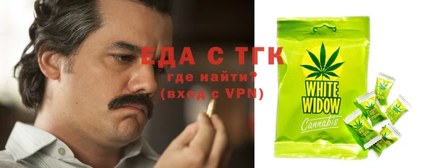 индика Тайга