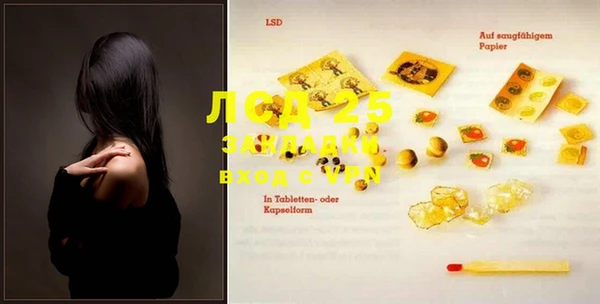 индика Тайга