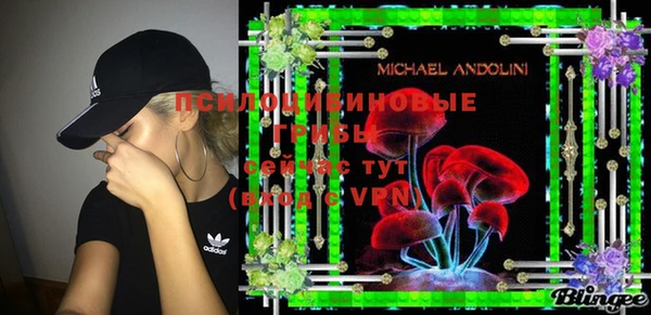 a pvp Сясьстрой