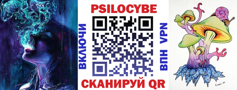 Псилоцибиновые грибы Cubensis  Купить закладки  Усть-Лабинск 